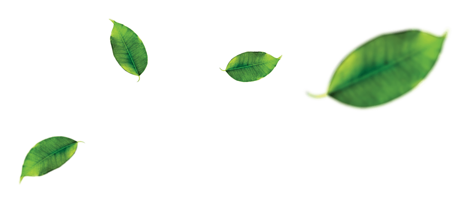 pngwing.com (10)